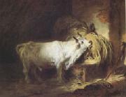 Jean Honore Fragonard The White Bull (mk05) oil painting picture wholesale